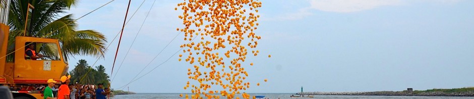 Gran carrera el patito de hule 2017